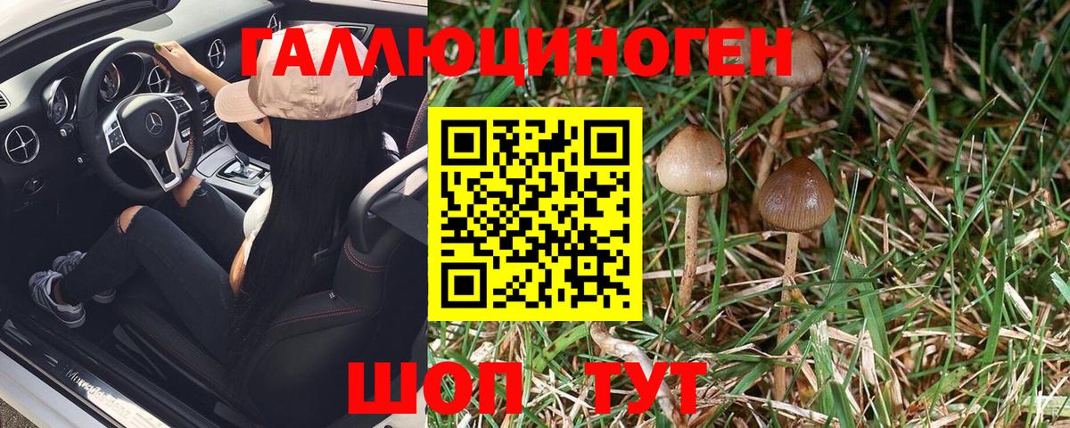 Псилоцибиновые грибы MAGIC MUSHROOMS Ялуторовск